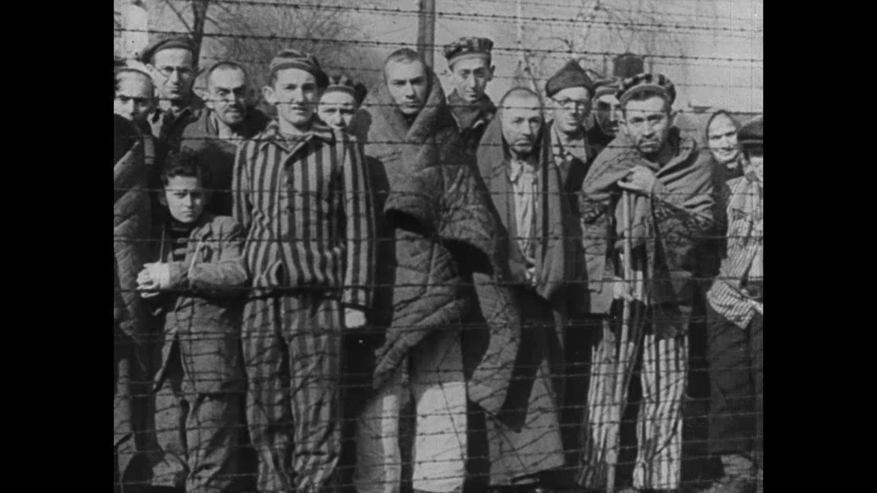 German concentration camps factual survey download