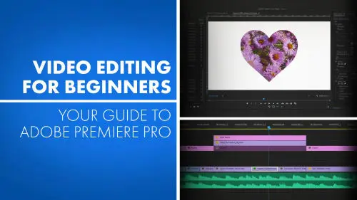 Video Editing For Beginners Your Guide To Adobe Premiere Pro AvaxHome