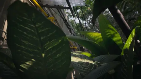 Nightmares of Nature S02E02