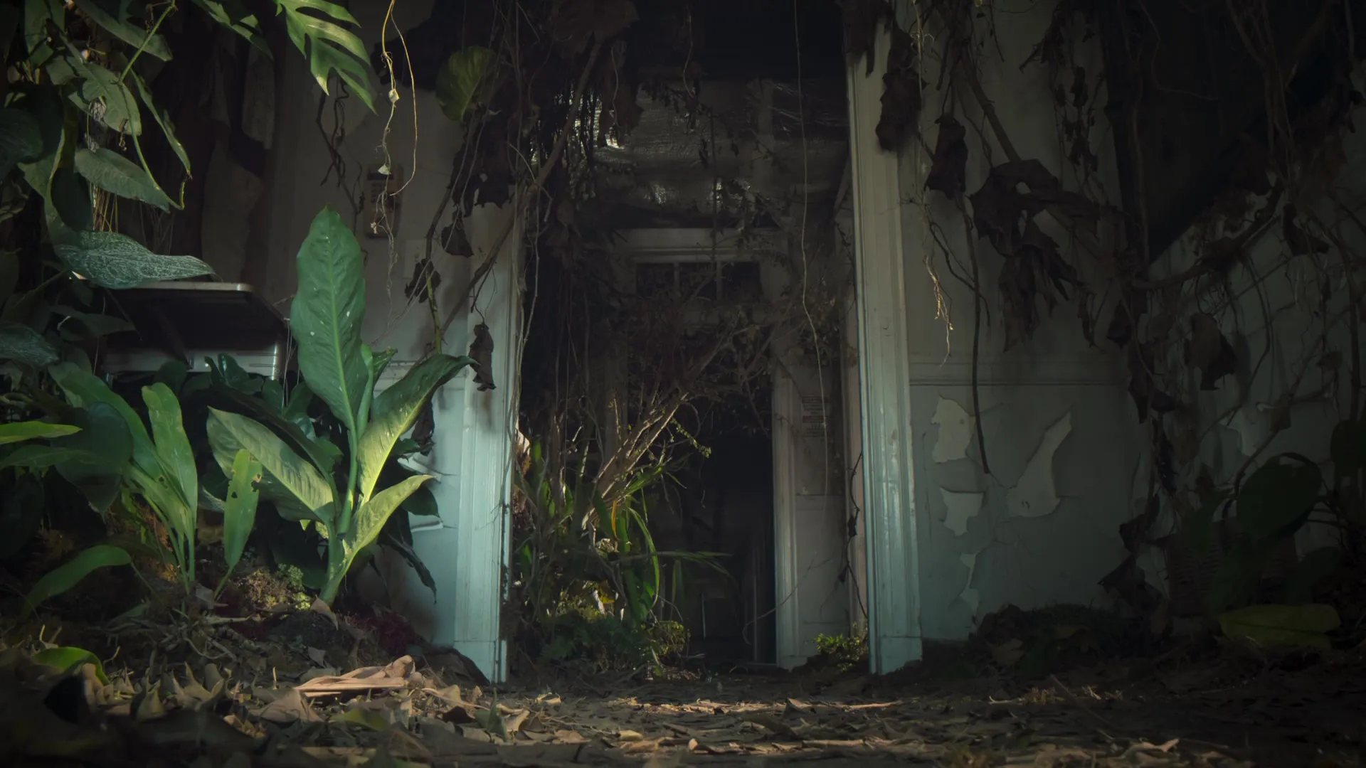 Nightmares of Nature S02E02