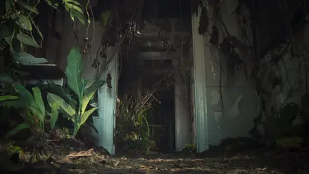 Nightmares of Nature S02E02