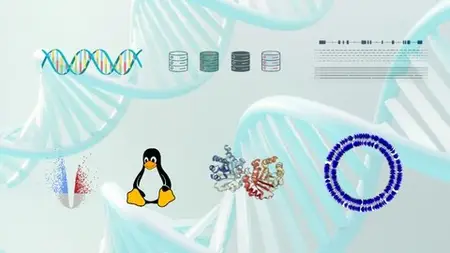 Learn Bioinformatics - Beginner To Master Through Projects