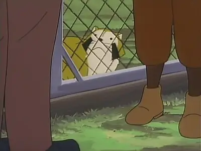 Raccoon Rascal - 51