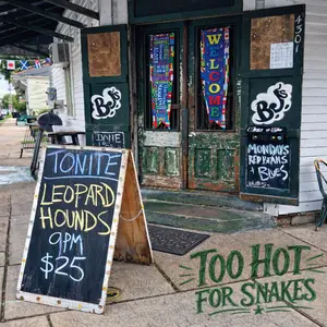 Leopard Hounds - Too Hot for Snakes (2026) [Official Digital Download 24/96]