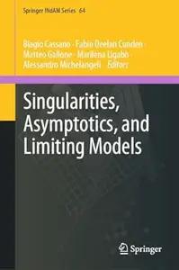 Singularities, Asymptotics, and Limiting Models