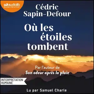 Cédric Sapin-Defour, "Où les étoiles tombent"