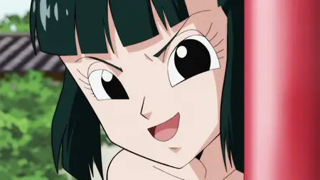 DragonBall Z Super (J-BD 1080P) - 89