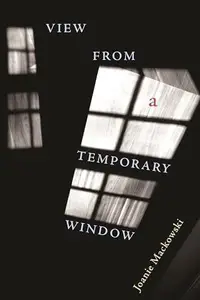 View from a Temporary Window