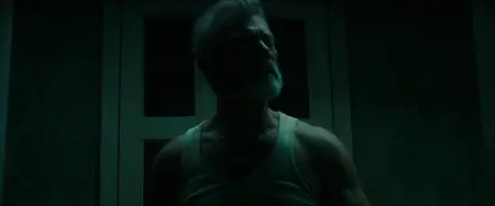 Don't Breathe (2016)
