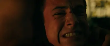 Don't Breathe (2016)