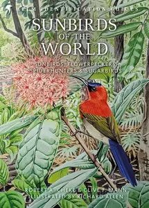 Sunbirds of the World: Sunbirds, Flowerpeckers, Spiderhunters and Sugarbirds