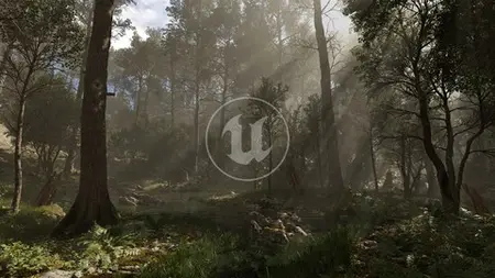 Megascans Scene - Black Alder Forest