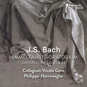 Collegium Vocale Gent & Philippe Herreweghe - J.S. Bach: Himmelfahrts-Oratorium, BWV 11 (Remastered) (1993/2023) [24/96]