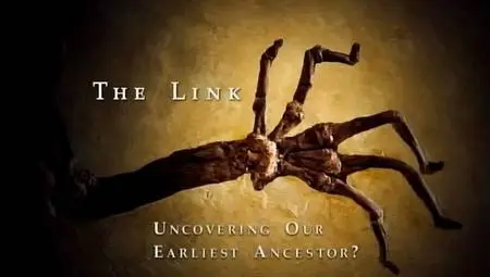 BBC - The Link - Uncovering Our Earliest Ancestor (2009)