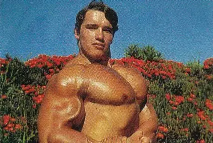 Arnold Schwarzenegger Photos