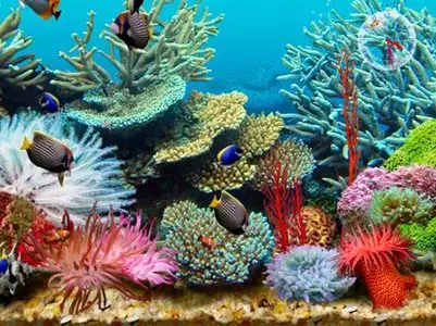 3D Tropical Fish Aquarium III Screensaver (Full Version)