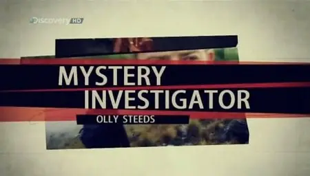 Discovery Channel - Mystery Investigator aka Solving History: Robin Hood (2010)