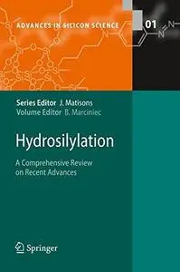 Hydrosilylation: A Comprehensive Review on Recent Advances (Repost)