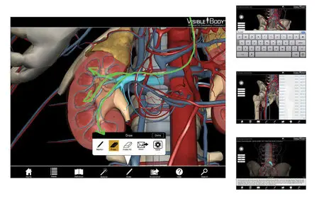 Visible Body 3D Heart and Circulatory Premium 2 v2.0 Mac OS X