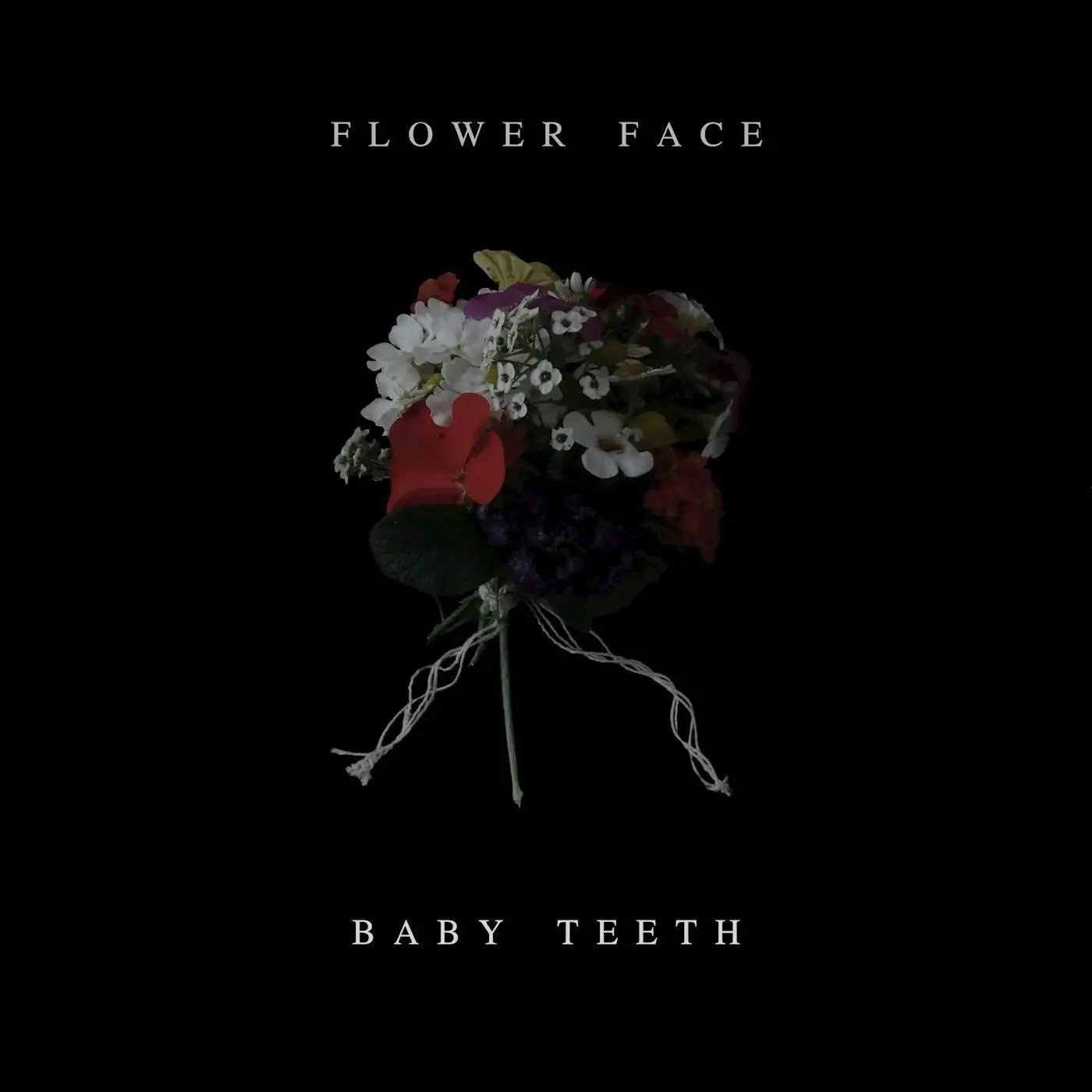 Flower Face - Baby Teeth (2018)