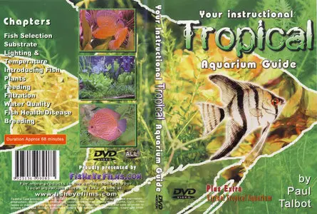 Your Instructional Tropical Aquarium Guide
