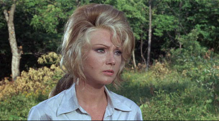 Hornets' Nest / I lupi attaccano in branco (1970)