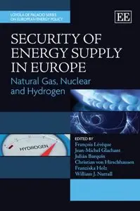Security of Energy Supply in Europe: Natural Gas, Nuclear and Hydrogen