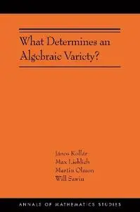 János Kollár, Max Lieblich, Martin Olsson, Will Sawin  - What Determines an Algebraic Variety?