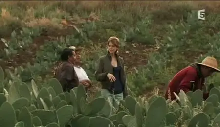 (Fr5) Fourchette et sac à dos : Destination Mexique (2011)