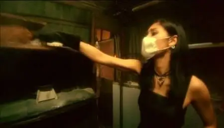 Wong Kar Wai-Duo luo tian shi ('Fallen Angels') (1995)