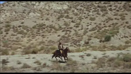 100 Rifles (1969)
