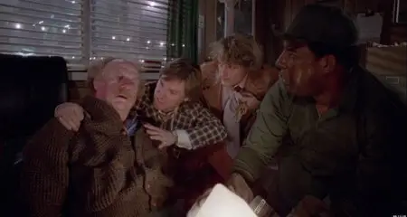 Used Cars (1980)