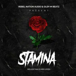 Rebel Nation Audio Stamina WAV MiDi