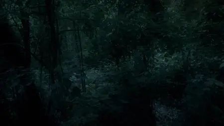 Dead by Dawn S01E05