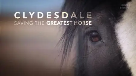 BBC - Clydesdale: Saving the Greatest Horse (2020)