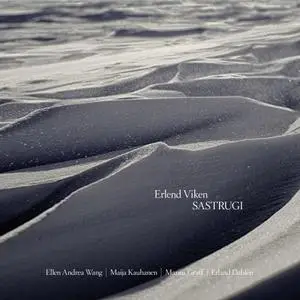 Erlend Viken - Sastrugi (2020) [Official Digital Download]