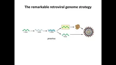 Coursera - Virology I: How Viruses Work