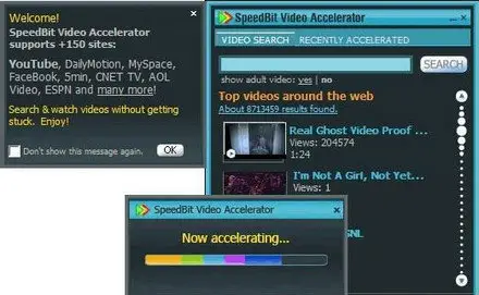 SpeedBit Video Accelerator Premium 3.2.2.7.2080 Beta 