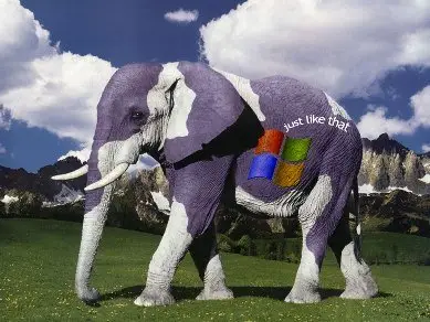 Windows XP Wallpaper