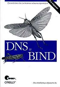 DNS и BIND