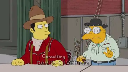 Die Simpsons S30E20