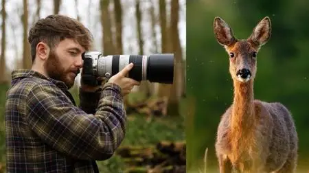 Wildlife Photography: How to Take Captivating Animal Portraits