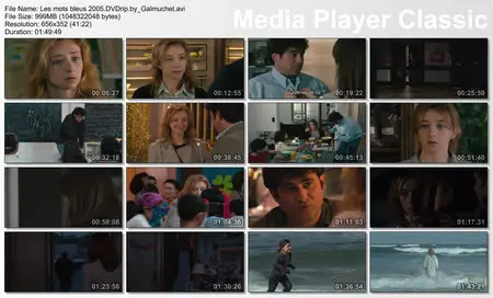 (Alain CORNEAU) Les Mots Bleus [DVDrip] 2005