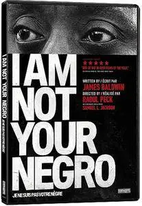 PBS - Independent Lens: I Am Not Your Negro (2018)