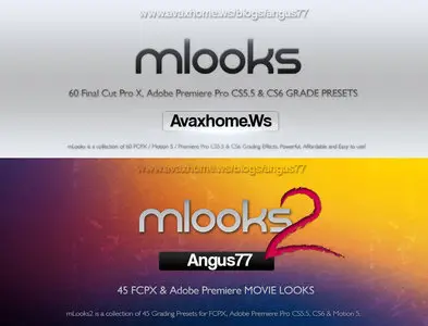 mLooks 1 & 2 - Presets Collection for Final Cut Pro X & Adobe Premiere Pro CS5.5/CS6