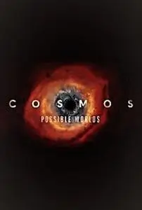 Nat.Geo. - Cosmos Possible Worlds: Series 1 Part 7,8 (2020)