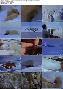 Life in the Frozen Wilderness Part 2