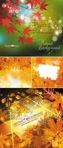 Autumn Leaves Backgrounds Vector