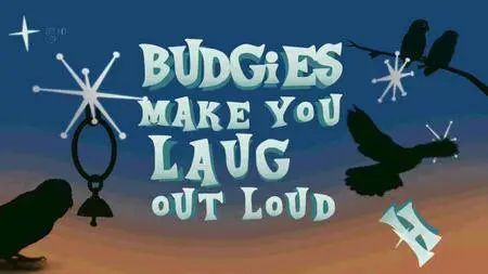 Channel 5 - Budgies Make You Laugh Out Loud (2016)