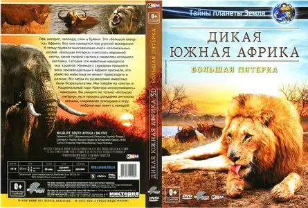 Wildlife South Africa: Big Five / Тайны планеты Земля. Дикая Южная Африка: Большая Пятёрка (2012)